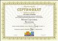 Сертификат участника вебинара  " Принципы взаимодействия логопеда и воспитателя для создания развивающей игровой среды с учетом ФГОС " "Мерсибо" г.Москва