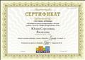 Сертификат участника вебинара " Особенности использования игровых методов в работе с детьми с Общим Недоразвитием Речи " "Месибо" г.Москва
