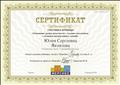 Сертификат участника вебинара " Повышение уровня грамотности у младших школьников с помощью интерактивных заданий " "Мерсибо" г.Москва
