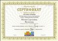 Сертификат участника вебинара " Интерактивные методы активизации речи у детей с задержкой речевого развития" "Мерсибо" г.Москва
